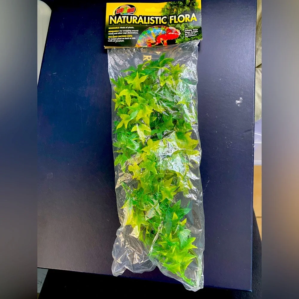 zoo med naturalistic flora - congo Ivy